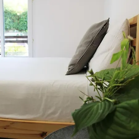 Apartment Lovely Renovated Studio With Free Parking Lugano
